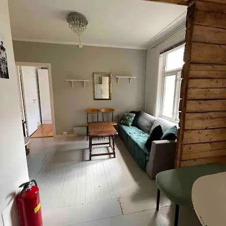 Stylish Cosy 3 Bedroom In Solsiden 公寓 特隆赫姆