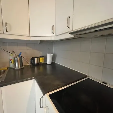 公寓 Stylish Cosy 3 Bedroom In Solsiden *